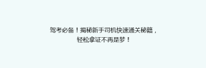 驾考必备!揭秘新手司机快速通关秘籍,轻松拿证不再是梦!