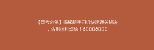 【驾考必备】揭秘新手司机快速通关秘诀,告别挂科烦恼!🚗🎓