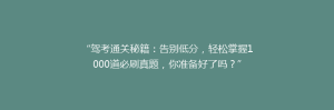 “驾考通关秘籍:告别低分,轻松掌握1000道必刷真题,你准备好了吗?”