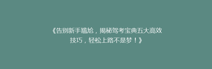 《告别新手尴尬，揭秘驾考宝典五大高效技巧，轻松上路不是梦！》