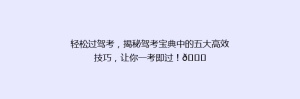 轻松过驾考,揭秘驾考宝典中的五大高效技巧,让你一考即过!🎉