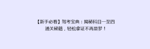 【新手必看】驾考宝典:揭秘科目一至四通关秘籍,轻松拿证不再是梦!