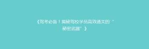 《驾考必备！揭秘驾校学员高效通关的“秘密武器”》