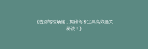 《告别驾校烦恼,揭秘驾考宝典高效通关秘诀!》