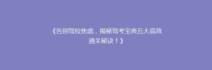 《告别驾校焦虑,揭秘驾考宝典五大高效通关秘诀!》