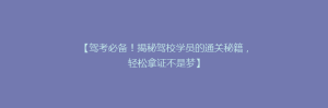 【驾考必备!揭秘驾校学员的通关秘籍,轻松拿证不是梦】