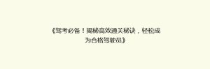 《驾考必备!揭秘高效通关秘诀,轻松成为合格驾驶员》
