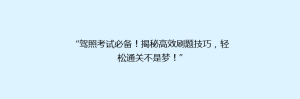 “驾照考试必备！揭秘高效刷题技巧，轻松通关不是梦！”