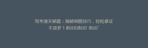 驾考通关秘籍:揭秘刷题技巧,轻松拿证不是梦!🚗💨🎯