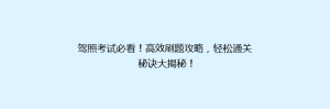 驾照考试必看!高效刷题攻略,轻松通关秘诀大揭秘!