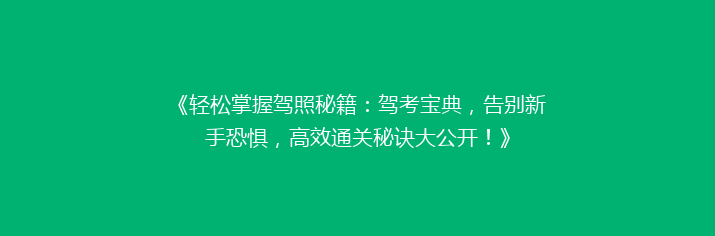 《轻松掌握驾照秘籍：驾考宝典，告别新手恐惧，高效通关秘诀大公开！》