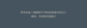 驾考必备!揭秘新手司机快速通关的五大秘诀,告别挂科烦恼!