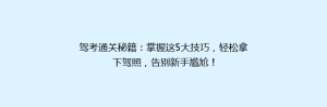 驾考通关秘籍:掌握这5大技巧,轻松拿下驾照,告别新手尴尬!