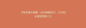 《驾考通关秘籍:这些刷题技巧,让你轻松拿到驾照!》