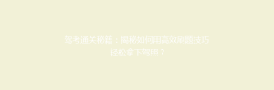 驾考通关秘籍:揭秘如何用高效刷题技巧轻松拿下驾照?