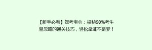 【新手必看】驾考宝典:揭秘90%考生易忽略的通关技巧,轻松拿证不是梦!