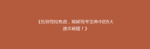 《告别驾校焦虑,揭秘驾考宝典中的5大通关秘籍!》