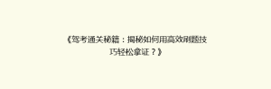 《驾考通关秘籍:揭秘如何用高效刷题技巧轻松拿证?》