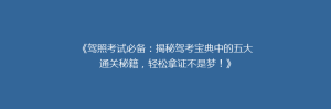 《驾照考试必备:揭秘驾考宝典中的五大通关秘籍,轻松拿证不是梦!》