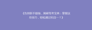 《告别新手烦恼,揭秘驾考宝典:掌握这些技巧,轻松通过科目一!》
