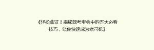 《轻松拿证！揭秘驾考宝典中的五大必看技巧，让你快速成为老司机》