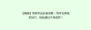 【揭秘】驾照考试必备攻略:驾考宝典独家技巧,轻松通过不再是梦!
