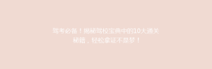 驾考必备!揭秘驾校宝典中的10大通关秘籍,轻松拿证不是梦!