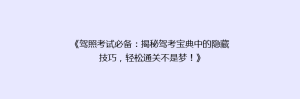 《驾照考试必备:揭秘驾考宝典中的隐藏技巧,轻松通关不是梦!》