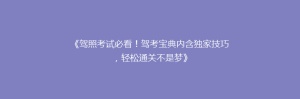 《驾照考试必看!驾考宝典内含独家技巧,轻松通关不是梦》