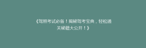 《驾照考试必备!揭秘驾考宝典,轻松通关秘籍大公开!》