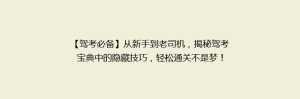 【驾考必备】从新手到老司机,揭秘驾考宝典中的隐藏技巧,轻松通关不是梦!