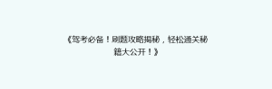 《驾考必备!刷题攻略揭秘,轻松通关秘籍大公开!》
