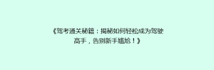 《驾考通关秘籍：揭秘如何轻松成为驾驶高手，告别新手尴尬！》