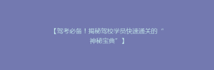 【驾考必备!揭秘驾校学员快速通关的“神秘宝典”】