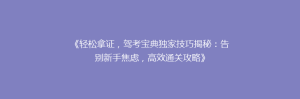 《轻松拿证,驾考宝典独家技巧揭秘:告别新手焦虑,高效通关攻略》