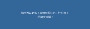 驾照考试必备!高效刷题技巧,轻松通关秘籍大揭秘!