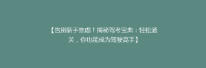 【告别新手焦虑!揭秘驾考宝典:轻松通关,你也能成为驾驶高手】