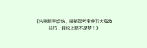 《告别新手烦恼,揭秘驾考宝典五大高效技巧,轻松上路不是梦!》