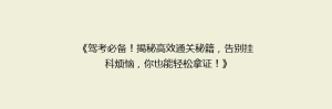 《驾考必备!揭秘高效通关秘籍,告别挂科烦恼,你也能轻松拿证!》