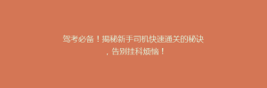 驾考必备!揭秘新手司机快速通关的秘诀,告别挂科烦恼!
